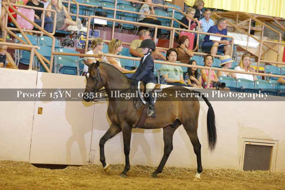 Proof 15YN_03511
