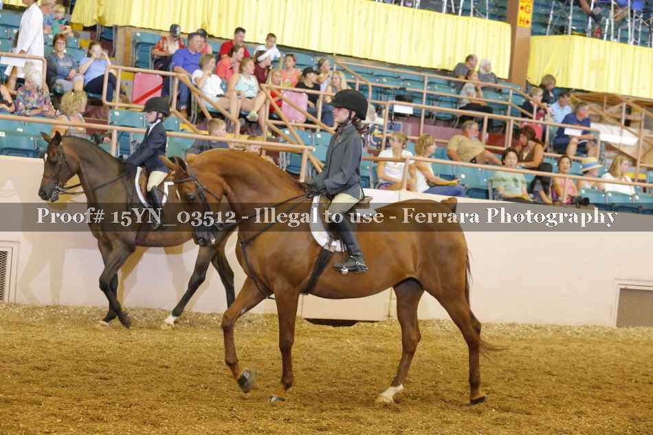 Proof 15YN_03512