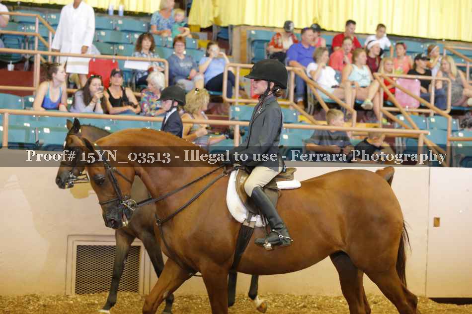 Proof 15YN_03513