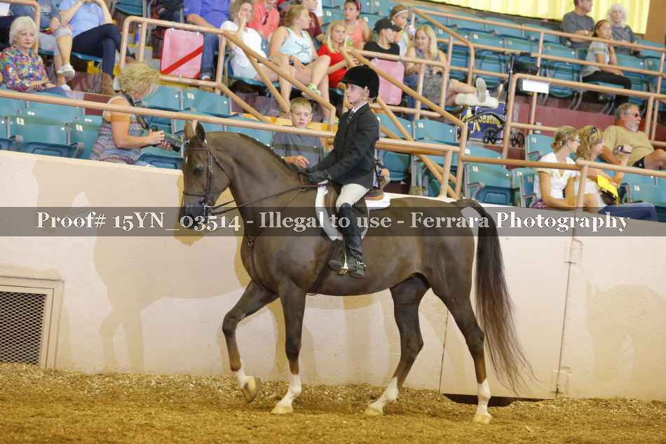Proof 15YN_03514