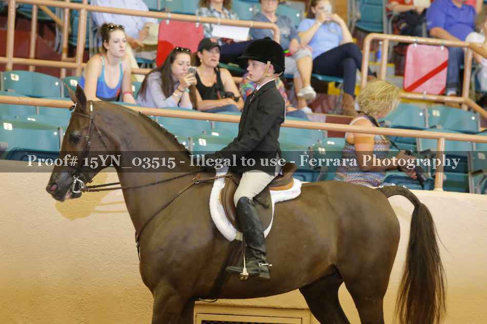 Proof 15YN_03515