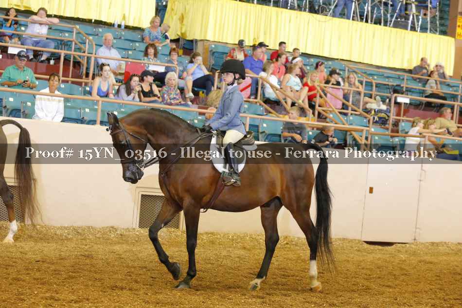 Proof 15YN_03516