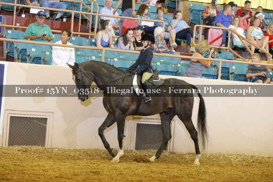 Proof 15YN_03518