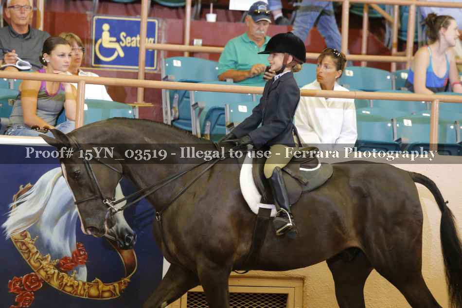 Proof 15YN_03519