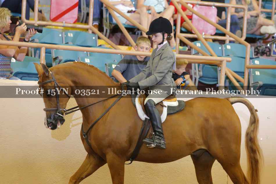 Proof 15YN_03521