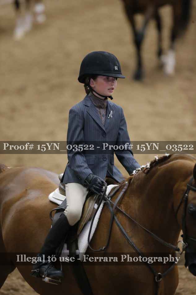 Proof 15YN_03522