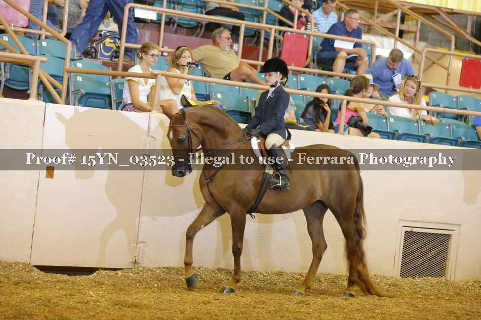 Proof 15YN_03523