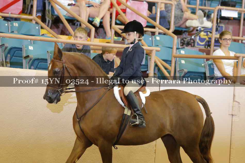 Proof 15YN_03524