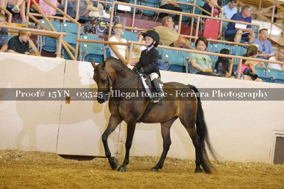Proof 15YN_03525