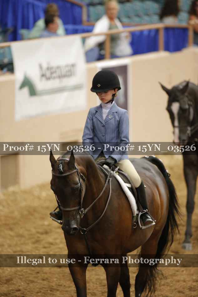 Proof 15YN_03526