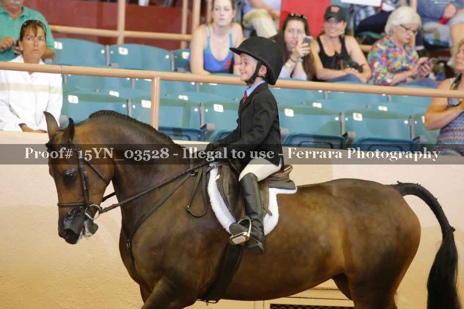 Proof 15YN_03528
