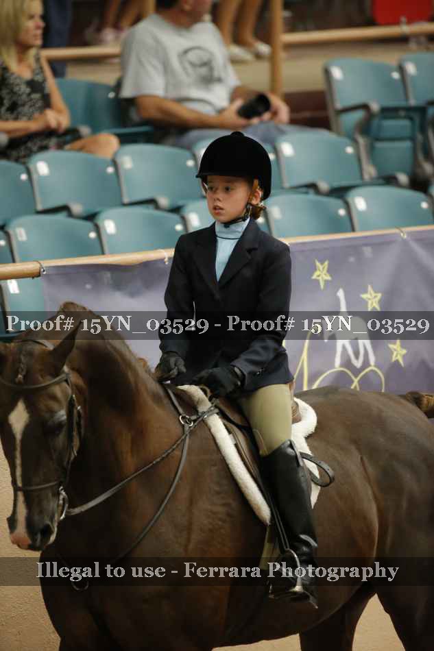 Proof 15YN_03529