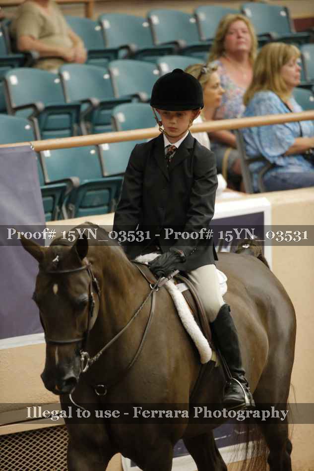 Proof 15YN_03531