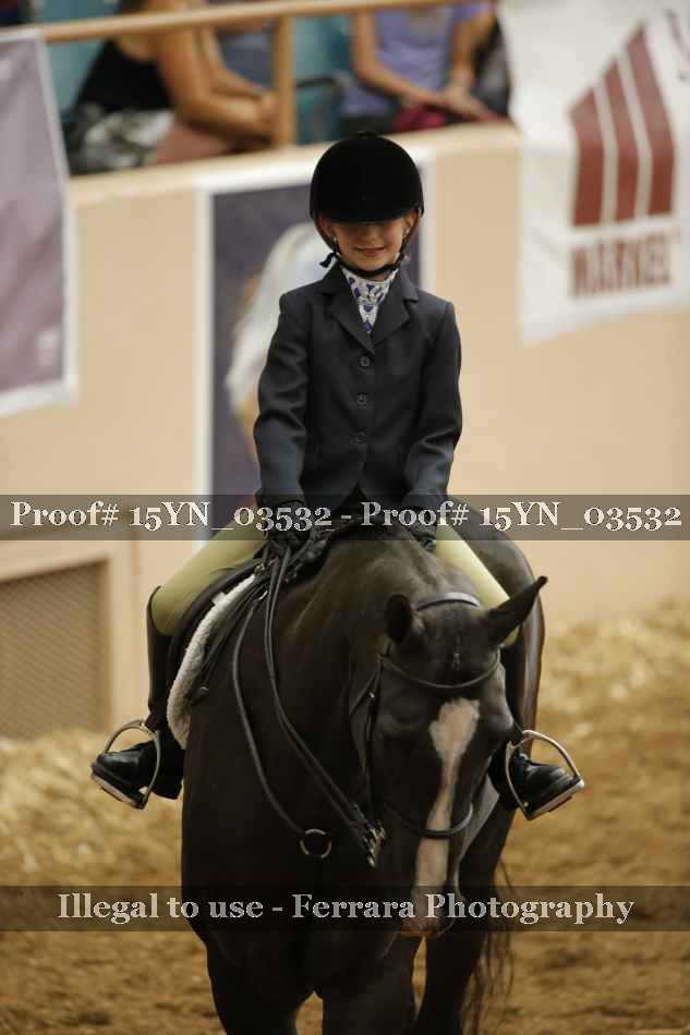 Proof 15YN_03532