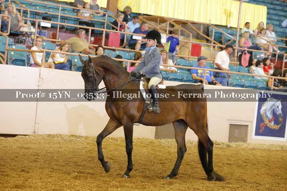 Proof 15YN_03533