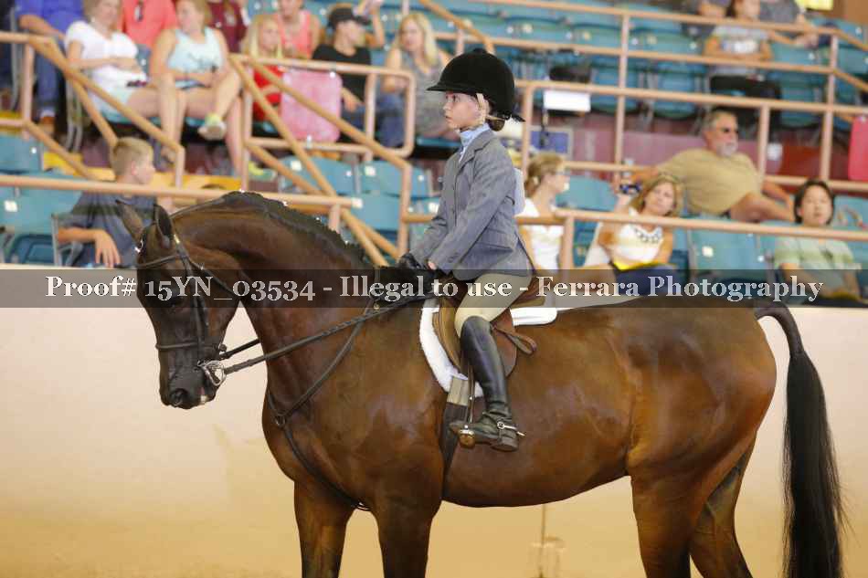 Proof 15YN_03534