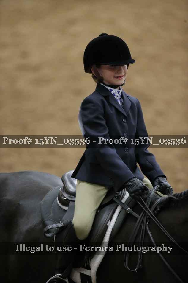Proof 15YN_03536