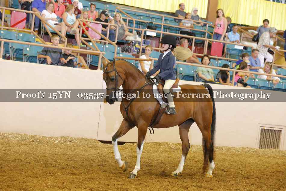 Proof 15YN_03537