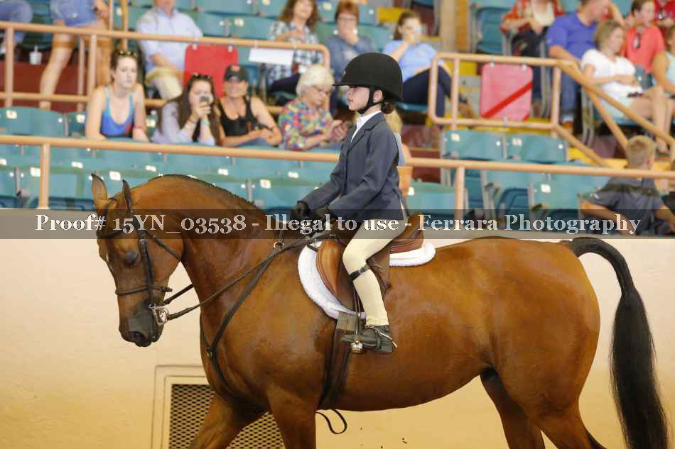 Proof 15YN_03538