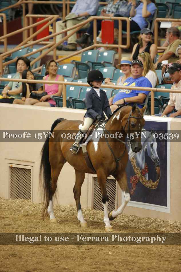 Proof 15YN_03539
