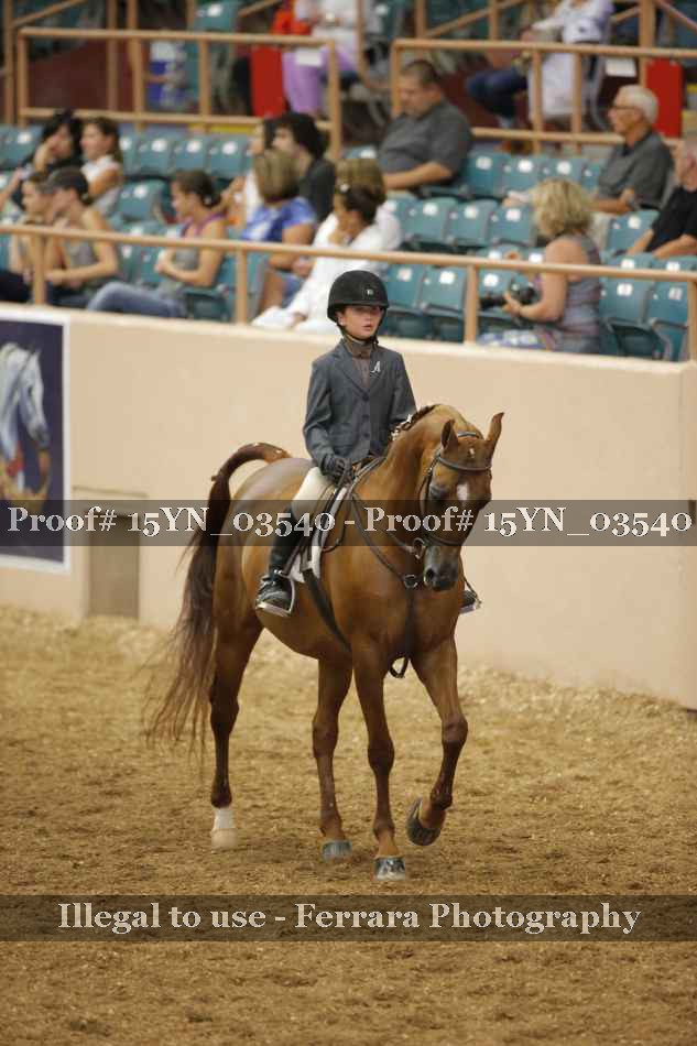 Proof 15YN_03540