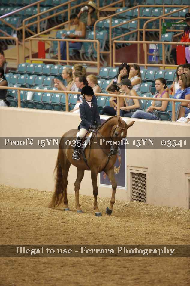 Proof 15YN_03541