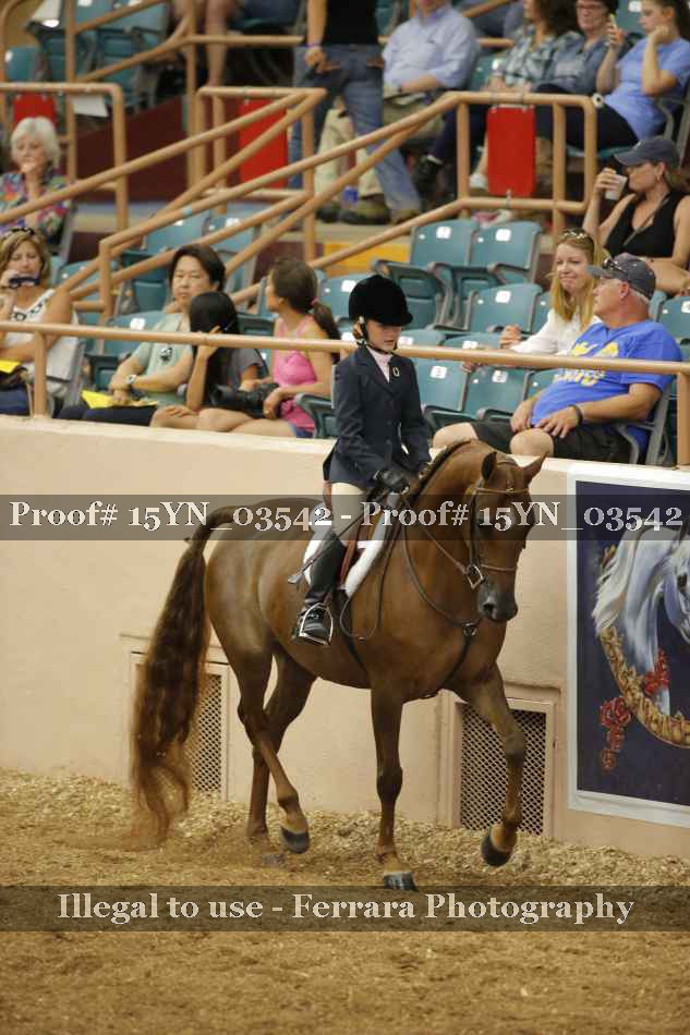 Proof 15YN_03542