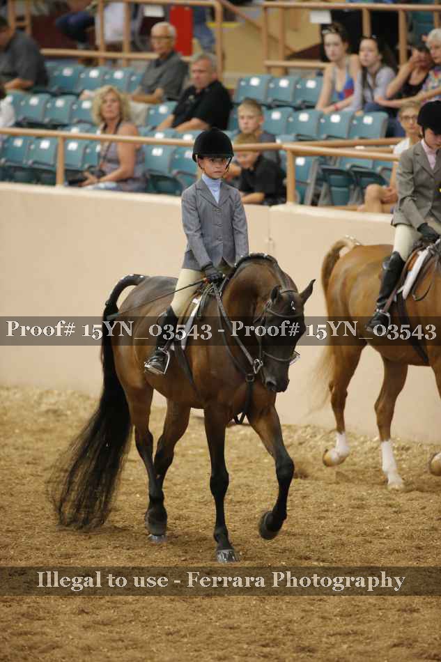Proof 15YN_03543