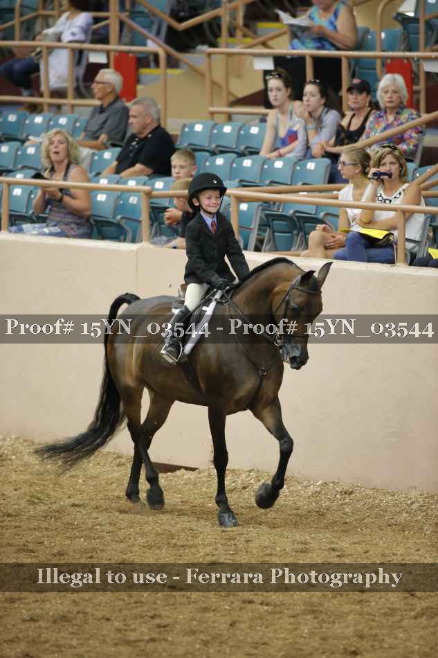 Proof 15YN_03544