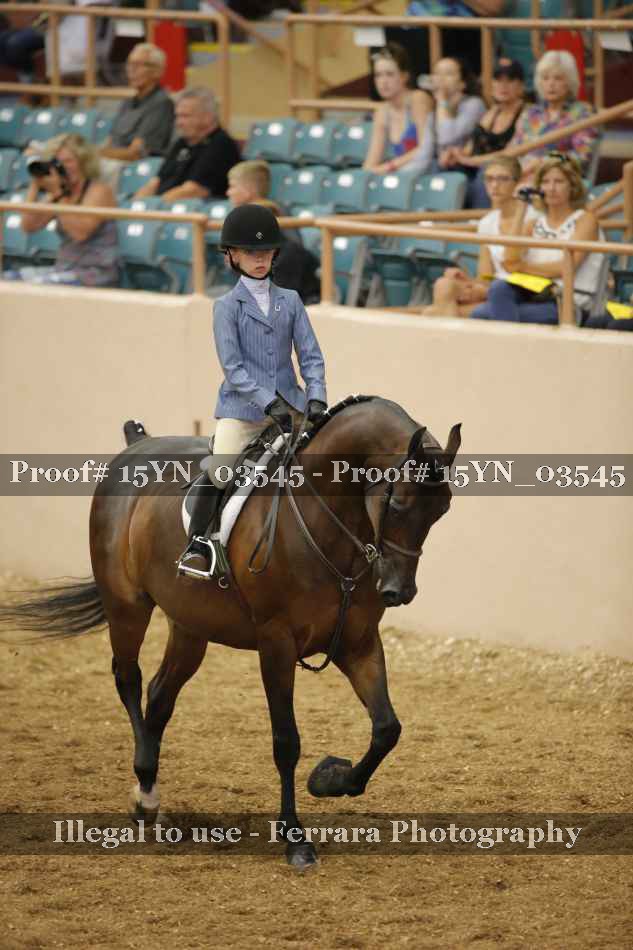 Proof 15YN_03545