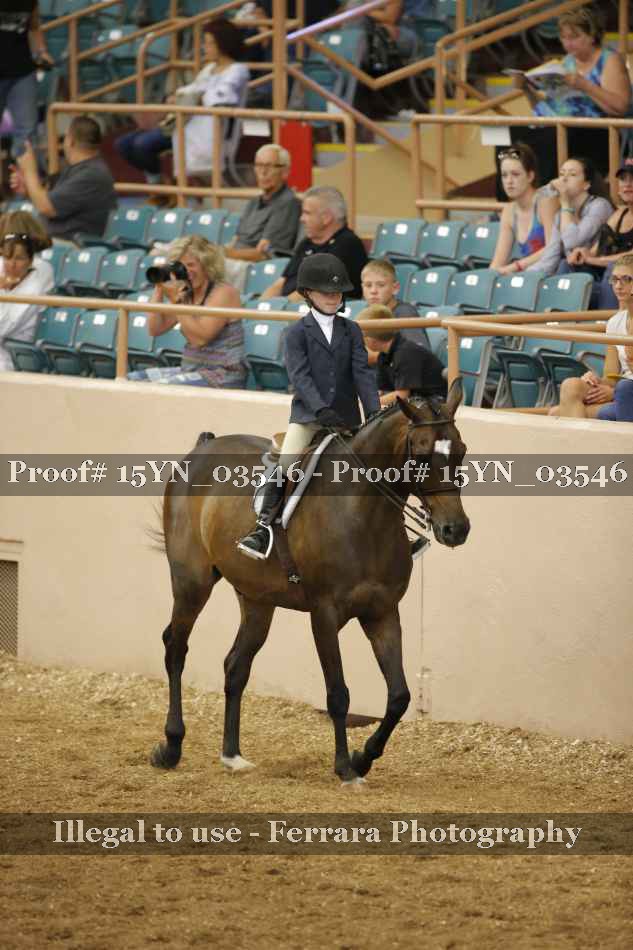 Proof 15YN_03546