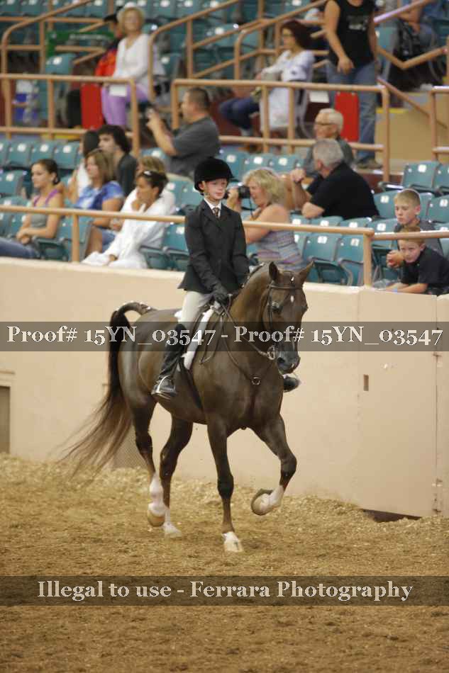 Proof 15YN_03547
