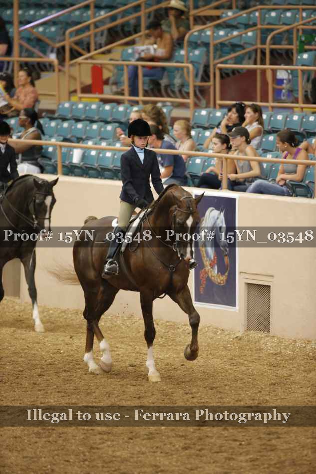 Proof 15YN_03548
