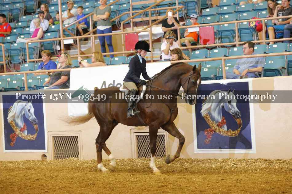 Proof 15YN_03549