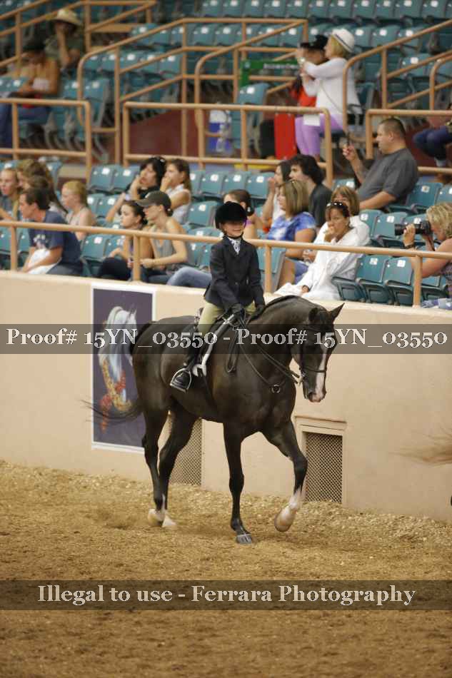 Proof 15YN_03550