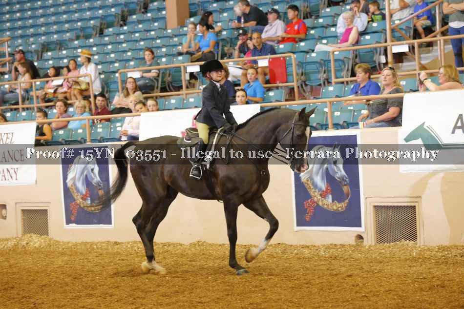 Proof 15YN_03551