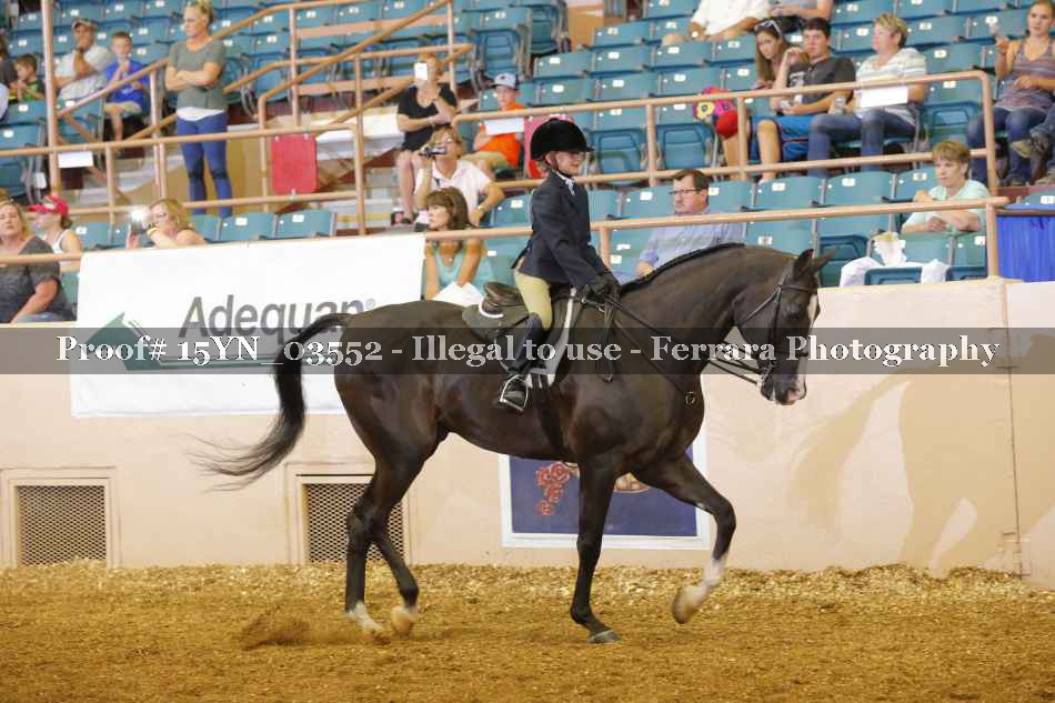 Proof 15YN_03552