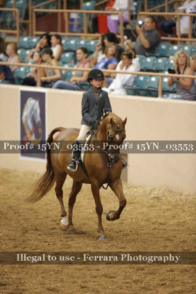 Proof 15YN_03553