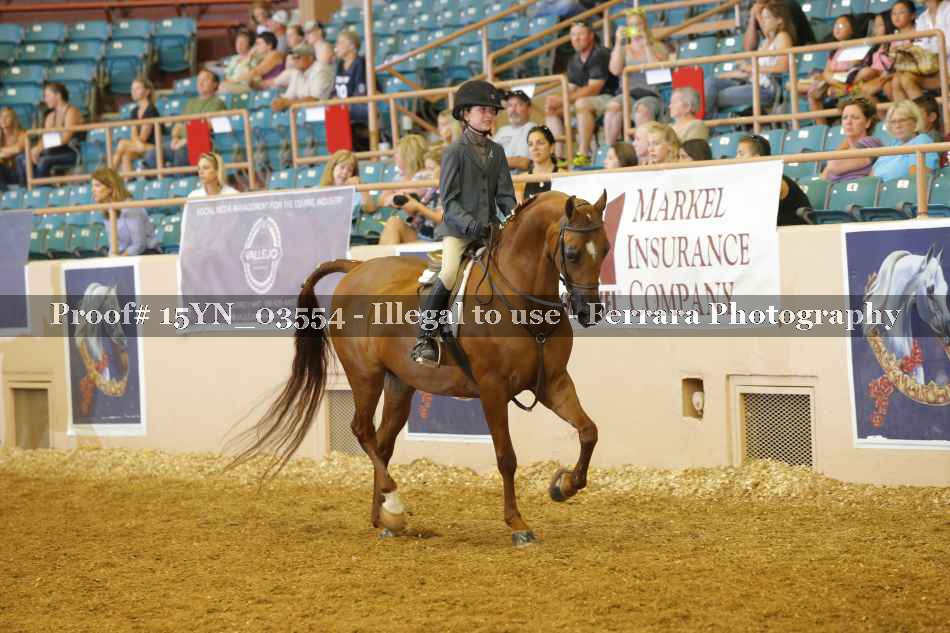 Proof 15YN_03554
