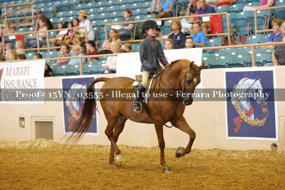 Proof 15YN_03555