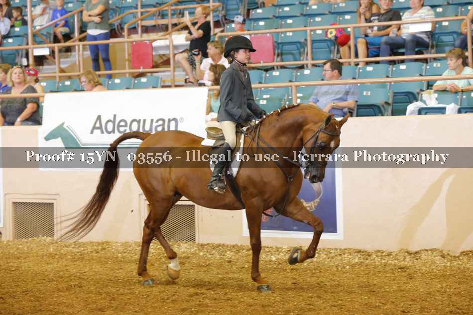 Proof 15YN_03556