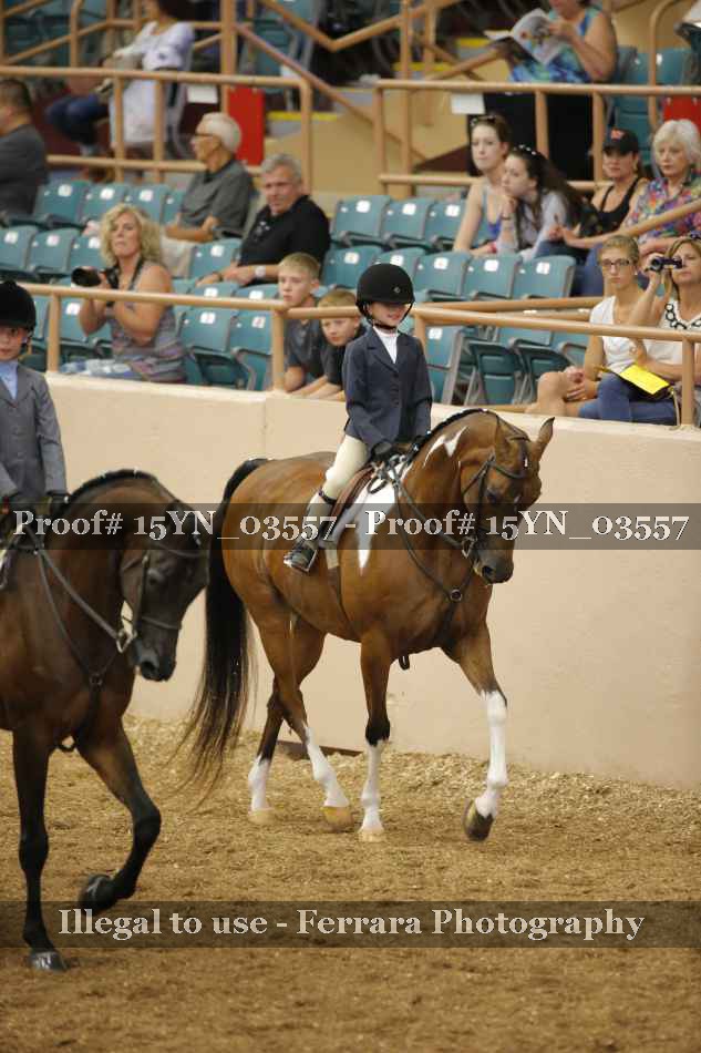 Proof 15YN_03557