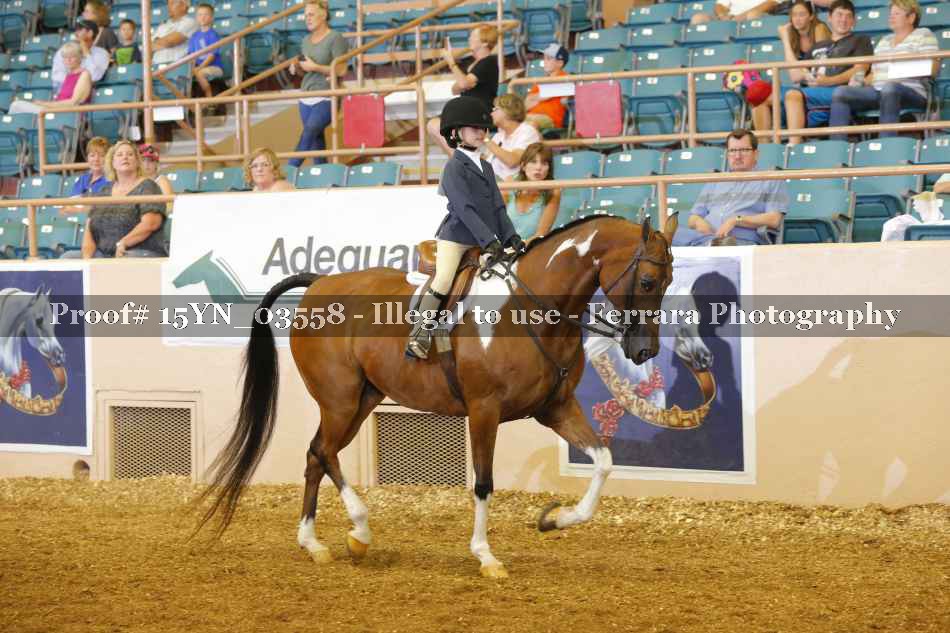 Proof 15YN_03558