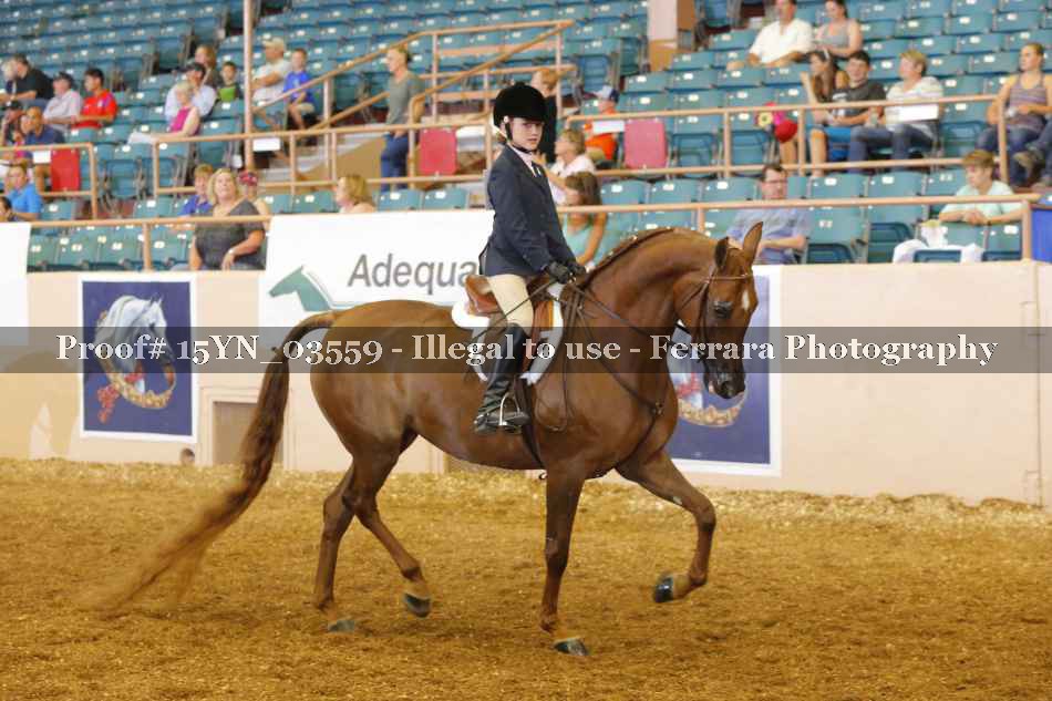 Proof 15YN_03559