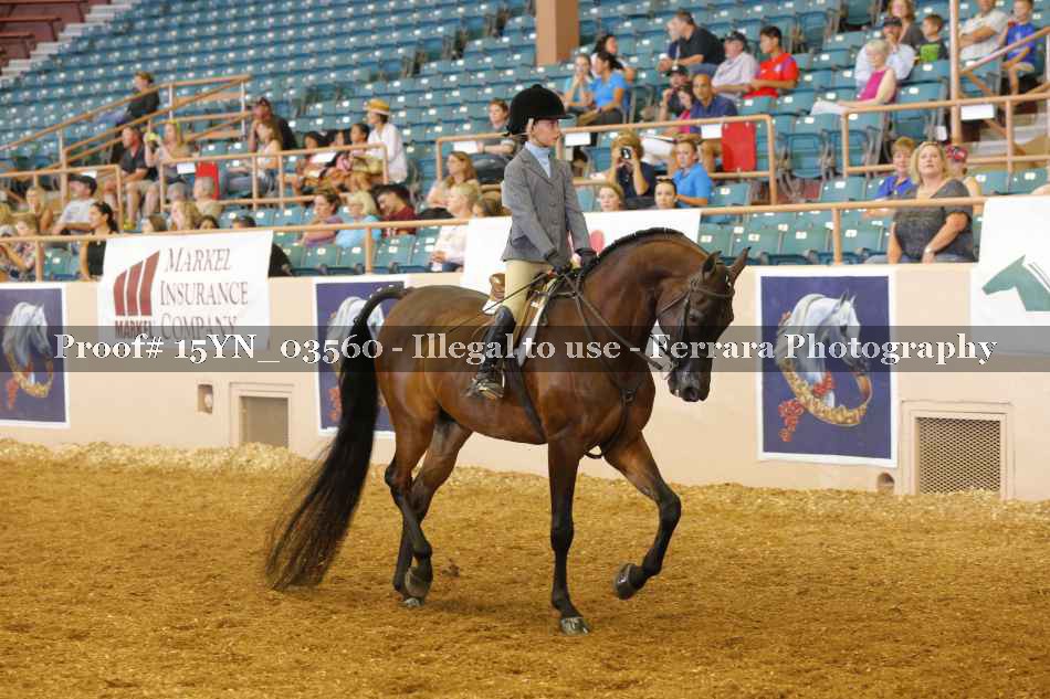 Proof 15YN_03560