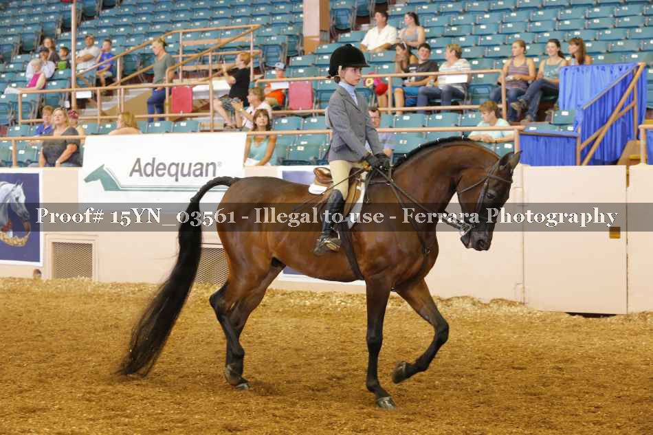 Proof 15YN_03561
