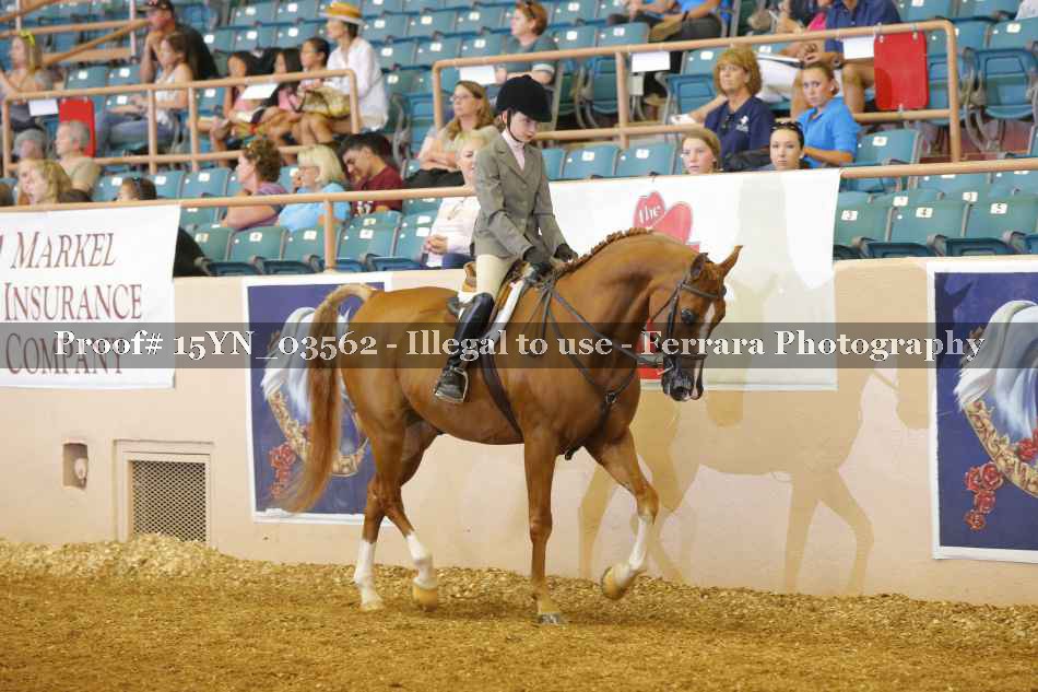 Proof 15YN_03562
