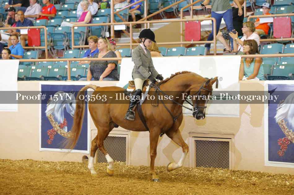 Proof 15YN_03563