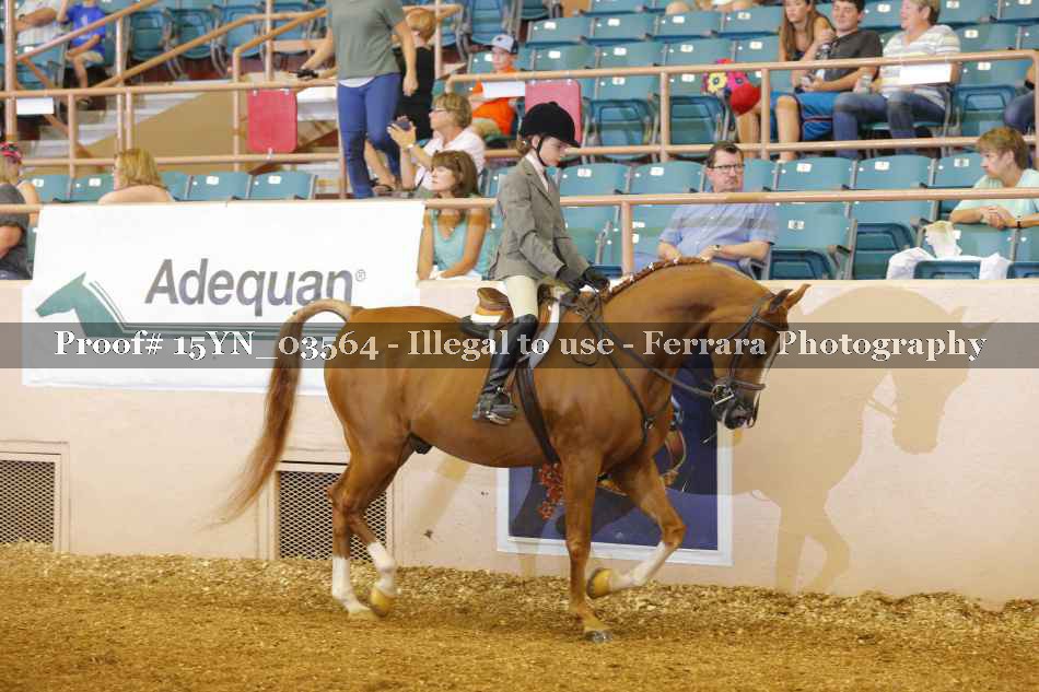 Proof 15YN_03564