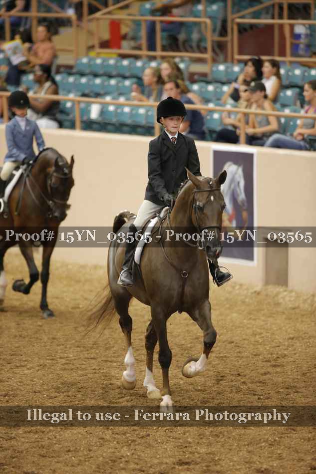 Proof 15YN_03565